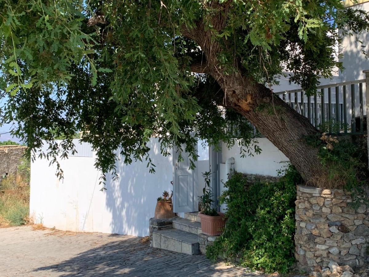 Villa Moeses House Asfendiou Exterior foto